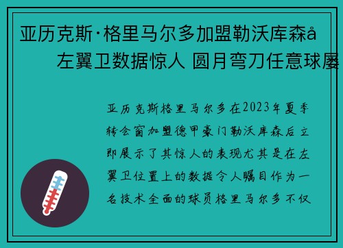 亚历克斯·格里马尔多加盟勒沃库森后左翼卫数据惊人 圆月弯刀任意球屡次救主 亚历克斯·格里马尔多加盟勒沃库森后左翼卫数据惊人 圆月弯刀任意球屡次救主